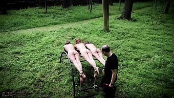 Punition B...