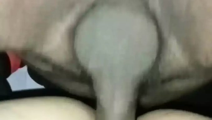 Femmes Jeunes Et Matures En Baise Hardcore Debout